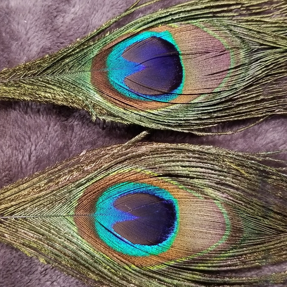 NWT Peacock Feather Earrings Back in Stock!!! 🦚 - Picture 3 of 3